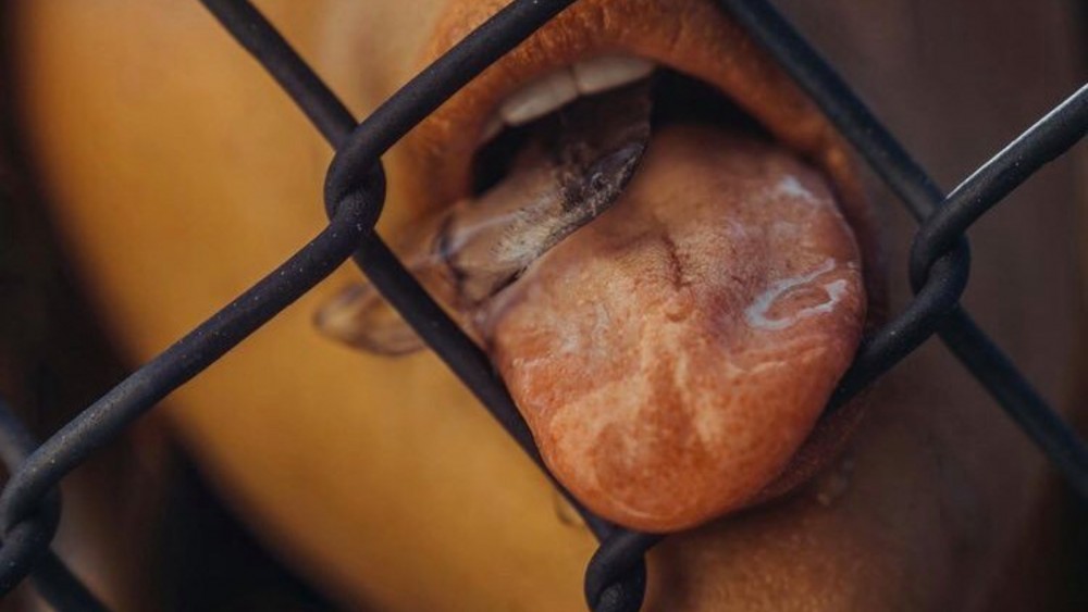 escorts and love !!!