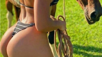 Omul reclama ca a fost sedus de un delfin