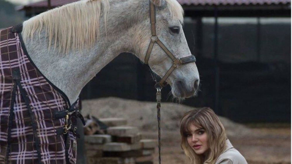 GRESEALA !!TRIMITE POZA CU PULA